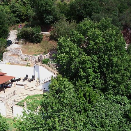 Holiday Home La Musica Budva Dış mekan fotoğraf